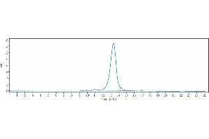 The purity of Anti-CD163 Reference Antibody (OR2805) is 93.