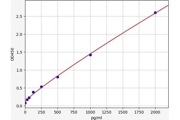 MFN2 ELISA Kit