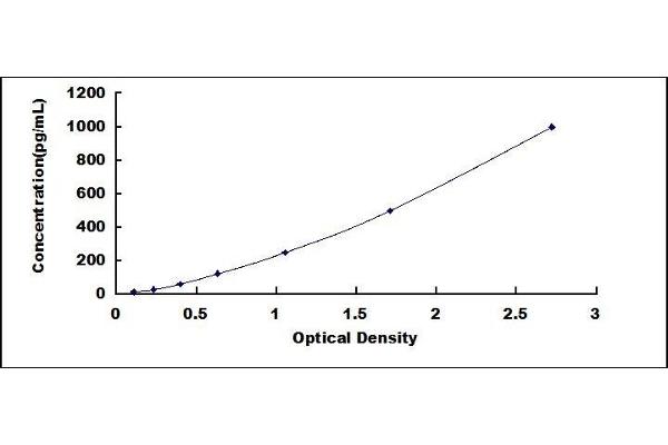 BMP7 ELISA Kit