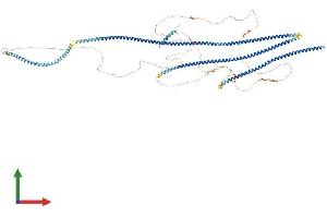 AlphaFold protein structure predicition of Mouse Recombinant Tmf1 Protein, UniprotID B9EKI3 (TMF1 Protein (AA 1-1091) (His tag))