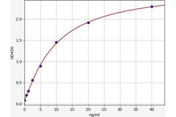 C6 ELISA Kit