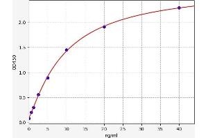 Typical standard curve (C6 ELISA Kit)