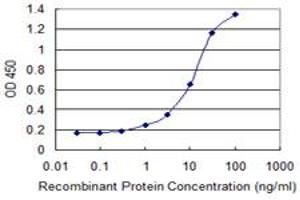Detection limit for recombinant GST tagged KLK14 is 0. (Kallikrein 14 antibody  (AA 152-251))