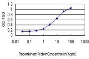 Detection limit for recombinant GST tagged PRKAG2 is approximately 0. (PRKAG2 antibody  (AA 191-300))