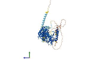 AlphaFold protein structure predicition of Human Recombinant TYW1B Protein, UniprotID Q6NUM6 (TYW1B Protein (AA 1-668) (His tag))