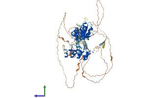 AlphaFold protein structure predicition of Mouse Recombinant Bard1 Protein, UniprotID O70445 (BARD1 Protein (AA 1-765) (His tag))