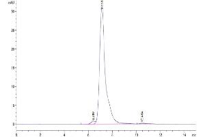 The purity of Rhesus macaque VEGF R2 is greater than 95 % as determined by SEC-HPLC.