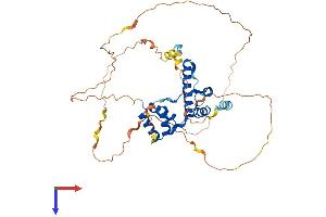 AlphaFold protein structure predicition of Human Recombinant DUX4L2 Protein, UniprotID P0CJ85