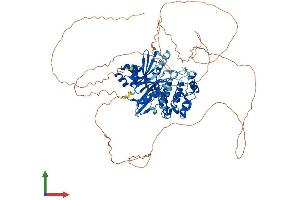 AlphaFold protein structure predicition of Mouse Recombinant Mark1 Protein, UniprotID Q8VHJ5