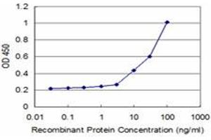 Detection limit for recombinant GST tagged HSPA2 is approximately 3ng/ml as a capture antibody. (HSPA2 antibody  (AA 1-639))