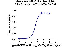 Immobilized Cynomolgus SEZ6, His Tag at 5 μg/mL (100 μL/Well) on the plate. (SEZ6 Protein (AA 20-927) (His tag))