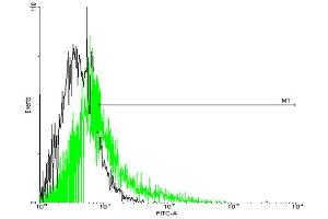 FACS analysis of negative control 293 cells (Black) and PTGER3 expressing 293 cells (Green) using PTGER3 purified MaxPab mouse polyclonal antibody. (PTGER3 antibody  (AA 1-388))