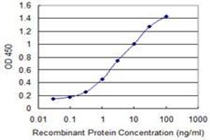 Detection limit for recombinant GST tagged CRYGC is 0. (CRYGC antibody  (AA 75-174))