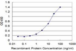 Detection limit for recombinant GST tagged SNAP29 is approximately 0. (SNAP29 antibody  (AA 1-258))
