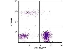 Human peripheral blood lymphocytes were stained with Mouse Anti-Human CD3-PE/CY7. (CD3 antibody  (PE-Cy7))