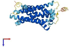 AlphaFold protein structure predicition of Mouse Recombinant Mrgpra2 Protein, UniprotID Q91WW4 (Mrgpra2 Protein (AA 1-305) (His tag))