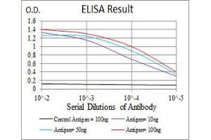 Black line: Control Antigen (100 ng), Purple line: Antigen(10 ng), Blue line: Antigen (50 ng), Red line: Antigen (100 ng), (Prokineticin Receptor 2 antibody  (AA 121-136))