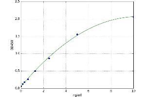 S100 Protein (S100) ELISA Kit