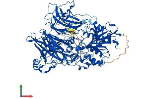 AlphaFold protein structure predicition of Mouse Recombinant Dpp8 Protein, UniprotID Q80YA7