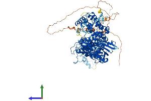 AlphaFold protein structure predicition of Human Recombinant RAG1 Protein, UniprotID P15918 (RAG1 Protein (AA 1-1043) (His tag))
