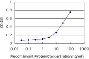 Detection limit for recombinant GST tagged ASB11 is approximately 1ng/ml as a capture antibody. (ASB11 antibody  (AA 214-323))