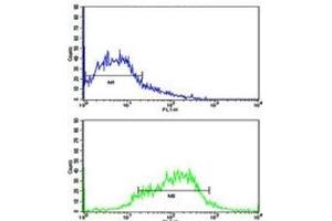 Flow cytometric analysis of HepG2 cells using EphA1 antibody (green) compared to a negative control (blue). (EPHA1 antibody  (AA 29-60))