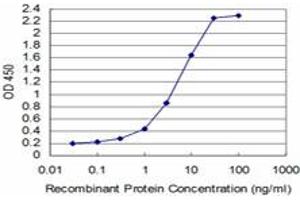 Detection limit for recombinant GST tagged SYN1 is approximately 0. (SYN1 antibody  (AA 362-450))
