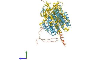AlphaFold protein structure predicition of Human Recombinant PSMD2 Protein, UniprotID Q13200