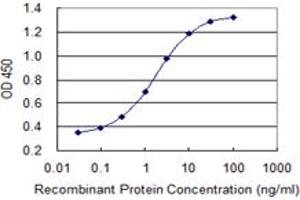 Detection limit for recombinant GST tagged SI is 0. (Sucrase Isomaltase antibody  (AA 1728-1826))