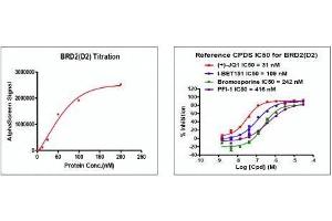 Recombinant BRD2 (344-455) activity using AlphaScreen.