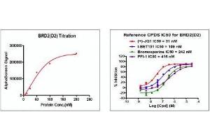 Recombinant BRD2 (344-455) activity using AlphaScreen. (BRD2 Protein (AA 344-455) (His tag,DYKDDDDK Tag))