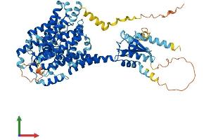 Protein Structure (PS) image for Solute Carrier Family 26 (Sulfate Transporter), Member 1 (SLC26A1) (AA 1-701) protein (His tag) (ABIN7555298)