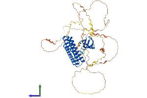 AlphaFold protein structure predicition of Human Recombinant EFS Protein, UniprotID O43281 (EFS Protein (AA 1-561) (His tag))