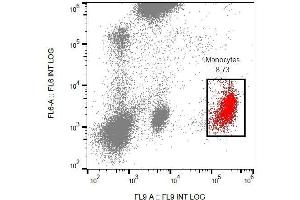 Surface staining of CD53 in human peripheral blood cells with anti-CD53 (MEM-53) PE. (CD53 antibody  (PE))