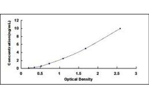 Typical standard curve (HS6ST2 ELISA Kit)