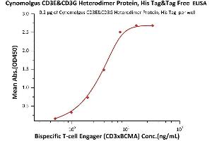 CD3E & CD3G (AA 22-117) (Active) protein (His tag)