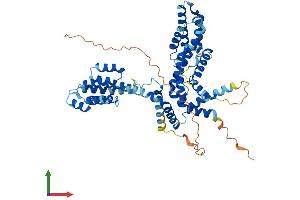 AlphaFold protein structure predicition of Human Recombinant TCP11L2 Protein, UniprotID Q8N4U5