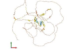 AlphaFold protein structure predicition of Human Recombinant CCDC8 Protein, UniprotID Q9H0W5 (CCDC8 Protein (AA 1-538) (His tag))