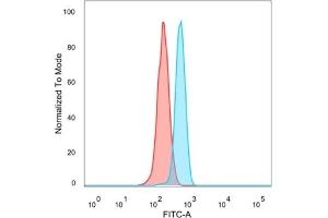 Flow cytometric analysis of PFA-fixed HeLa cells. (MEF2B antibody)