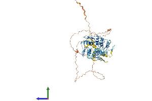 Protein Structure (PS) image for Zinc Finger Protein 551 (ZNF551) (AA 1-670) protein (His tag) (ABIN7545335)