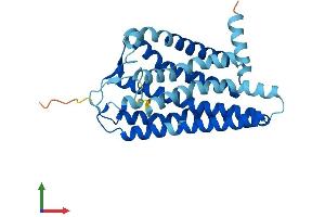 AlphaFold protein structure predicition of Human Recombinant OR52E4 Protein, UniprotID Q8NGH9 (OR52E4 Protein (AA 1-312) (His tag))