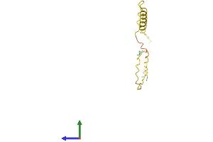 Protein Structure (PS) image for Protamine 3 (PRM3) (AA 1-101) protein (His tag) (ABIN7557760)