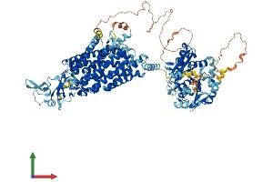 AlphaFold protein structure predicition of Human Recombinant SLC12A4 Protein, UniprotID Q9UP95 (SLC12A4 Protein (AA 1-1085) (His tag))