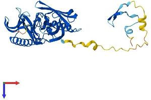 BBS5 Protein (AA 1-341) (His tag)