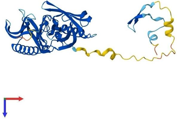 BBS5 Protein (AA 1-341) (His tag)