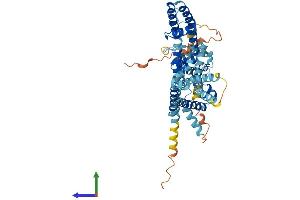 AlphaFold protein structure predicition of Mouse Recombinant Kcng1 Protein, UniprotID A2BDX4 (KCNG1 Protein (AA 1-514) (His tag))