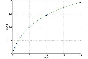 Actin, beta (ACTB) ELISA Kit