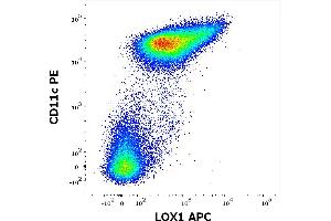 Flow cytometry multicolor surface staining pattern of human stimulated (GM-CSF + IL-4) peripheral blood mononuclear cells using anti-LOX1 (15C4) APC antibody (10 μL reagent / 100 μL of peripheral whole blood) and anti-human CD11c (BU15) PE antibody (20 μL reagent / 100 μL of peripheral whole blood). (OLR1 antibody  (APC))