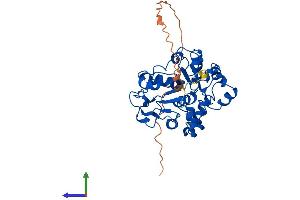 AlphaFold protein structure predicition of Mouse Recombinant St6galnac2 Protein, UniprotID P70277