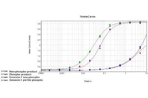 ELISA of Rabbit Anti-Cenexin-1 pS796 Antibody. (ODF2 antibody  (pSer796))